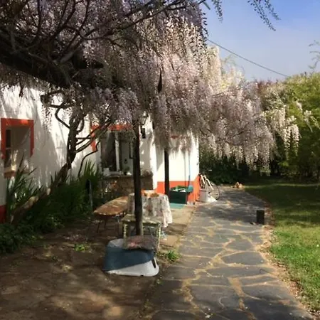 Monte Do Rei Santo Villa Arronches Exterior photo